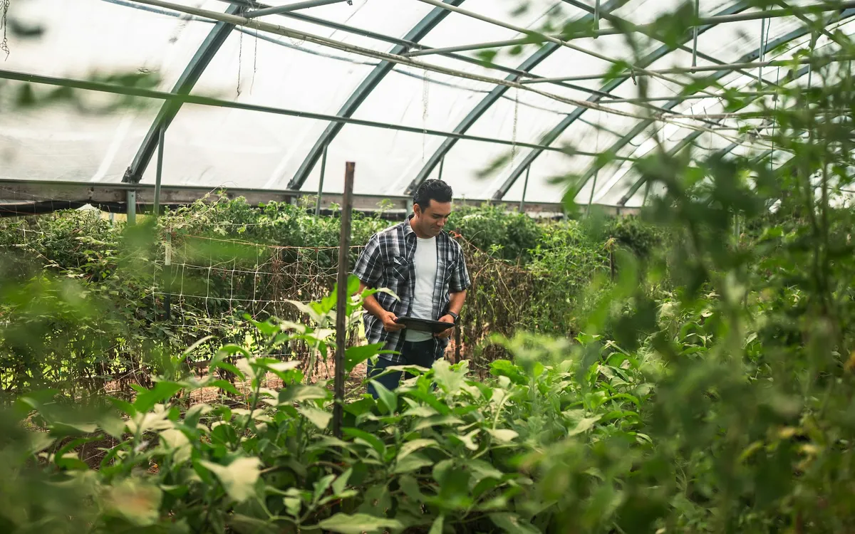 Biólogo cuidando de plantas dentro de uma estufa
